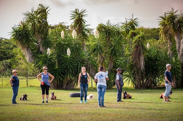 rencontre amis des chiens